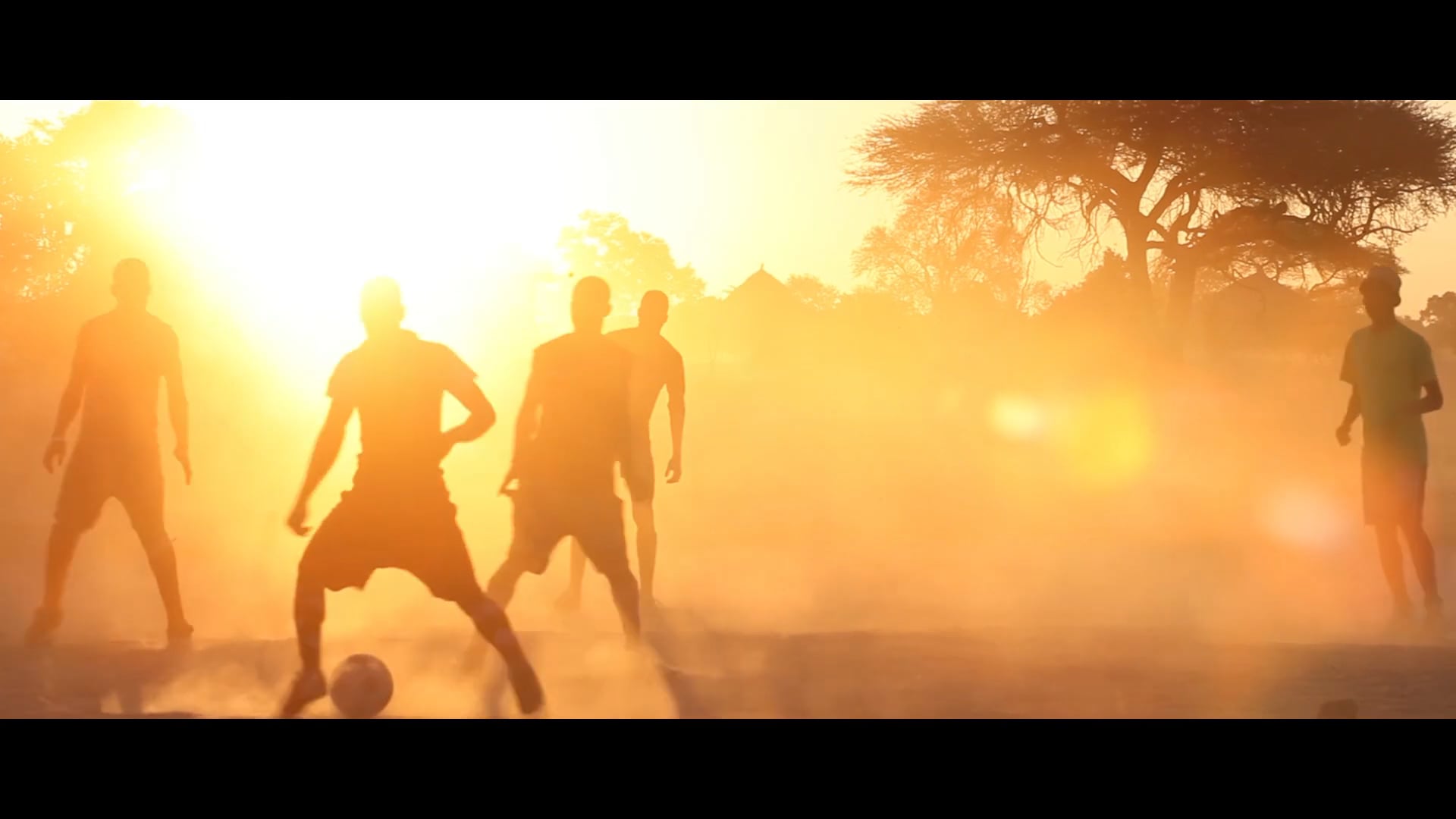 2015 SB reel