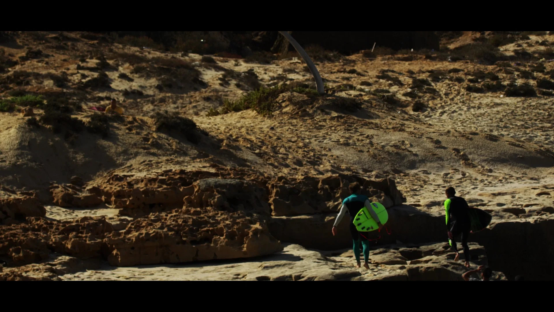 S Wings are Biomimetic Fins