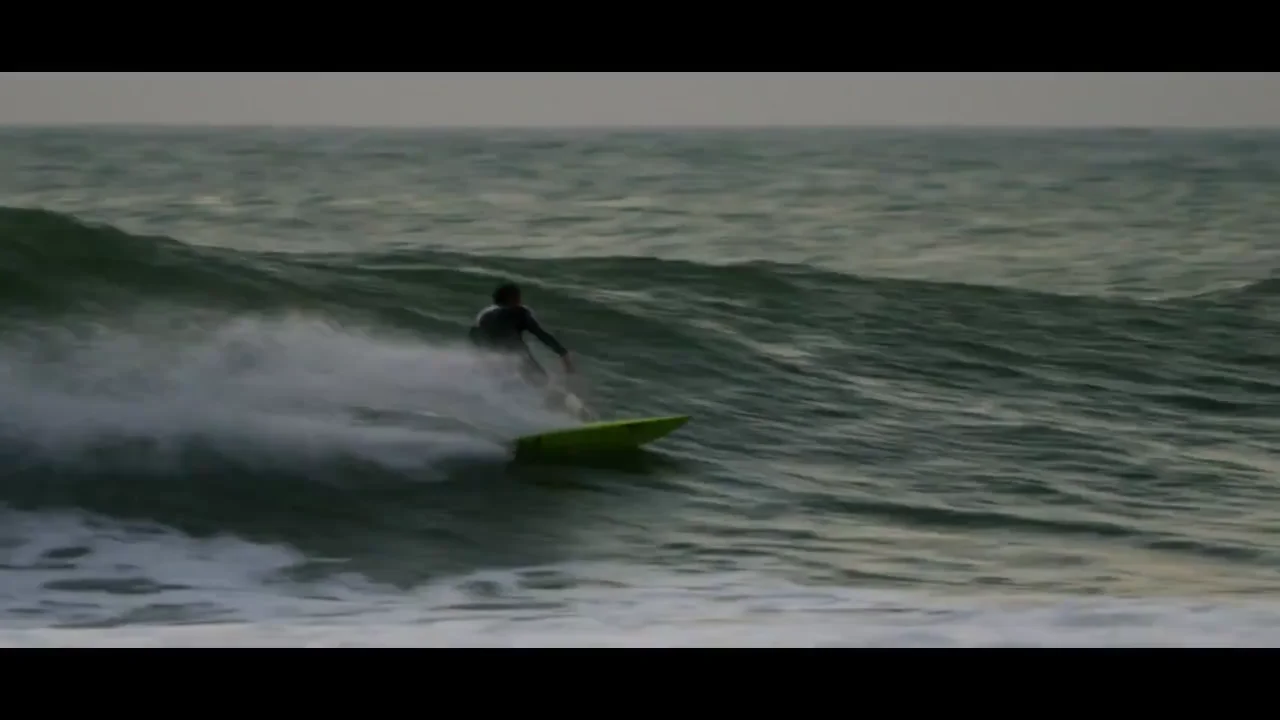 S-WINGS BIOMIMETIC FINS シングルフィン 美品 S-WINGSのフィンで楽しんでください！ : HOLYSMOKE