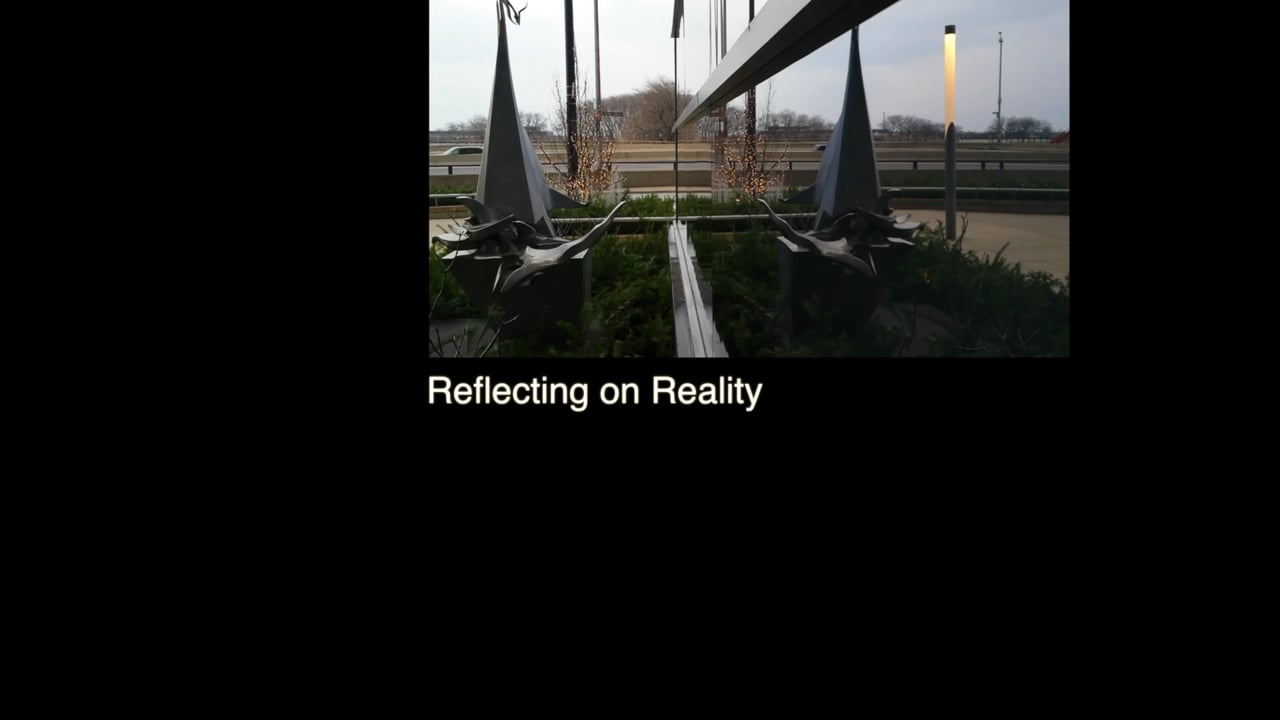 Reflecting on Reality