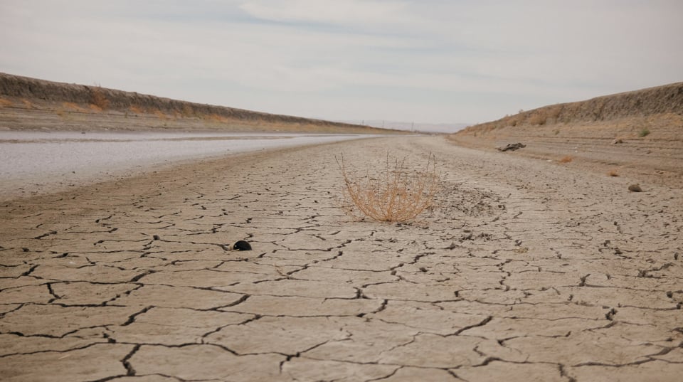 When A Town Runs Dry