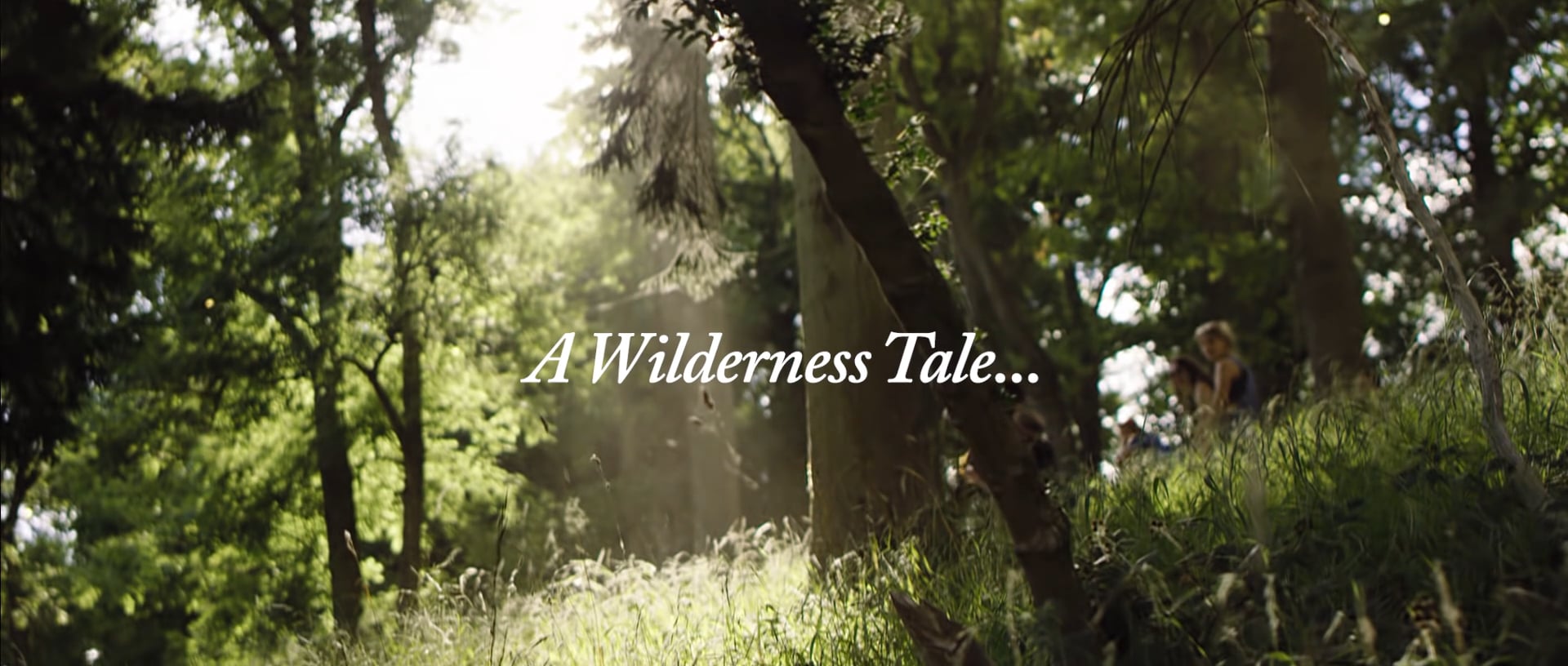 A Wilderness Tale