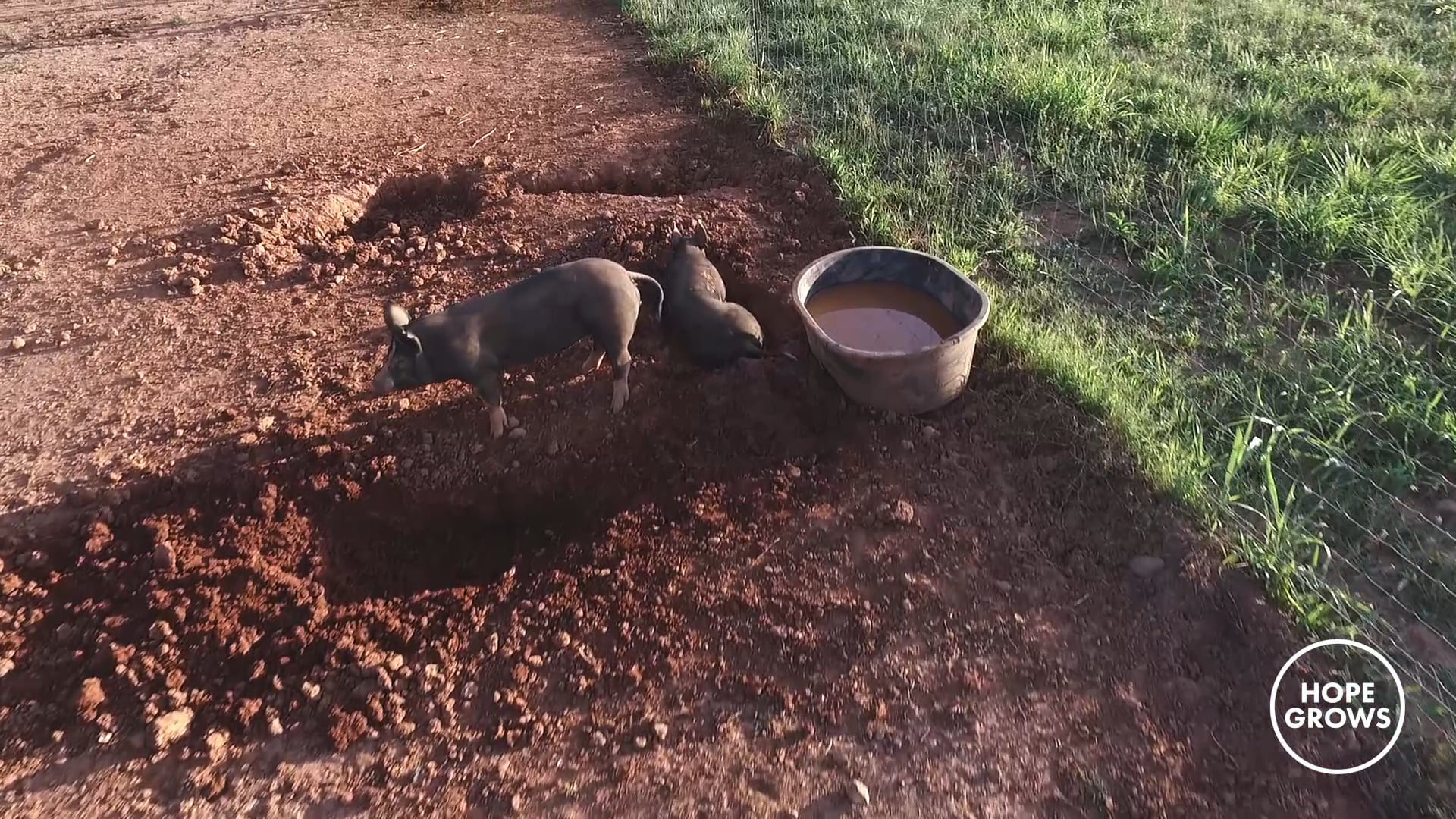 Hope Grows Farm//GROW on Vimeo