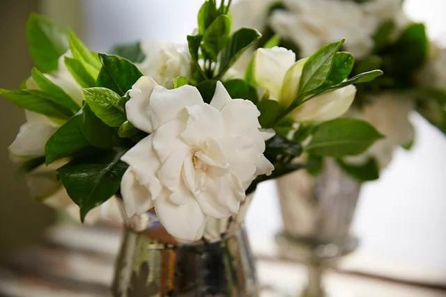 Gardenia Flower Vase