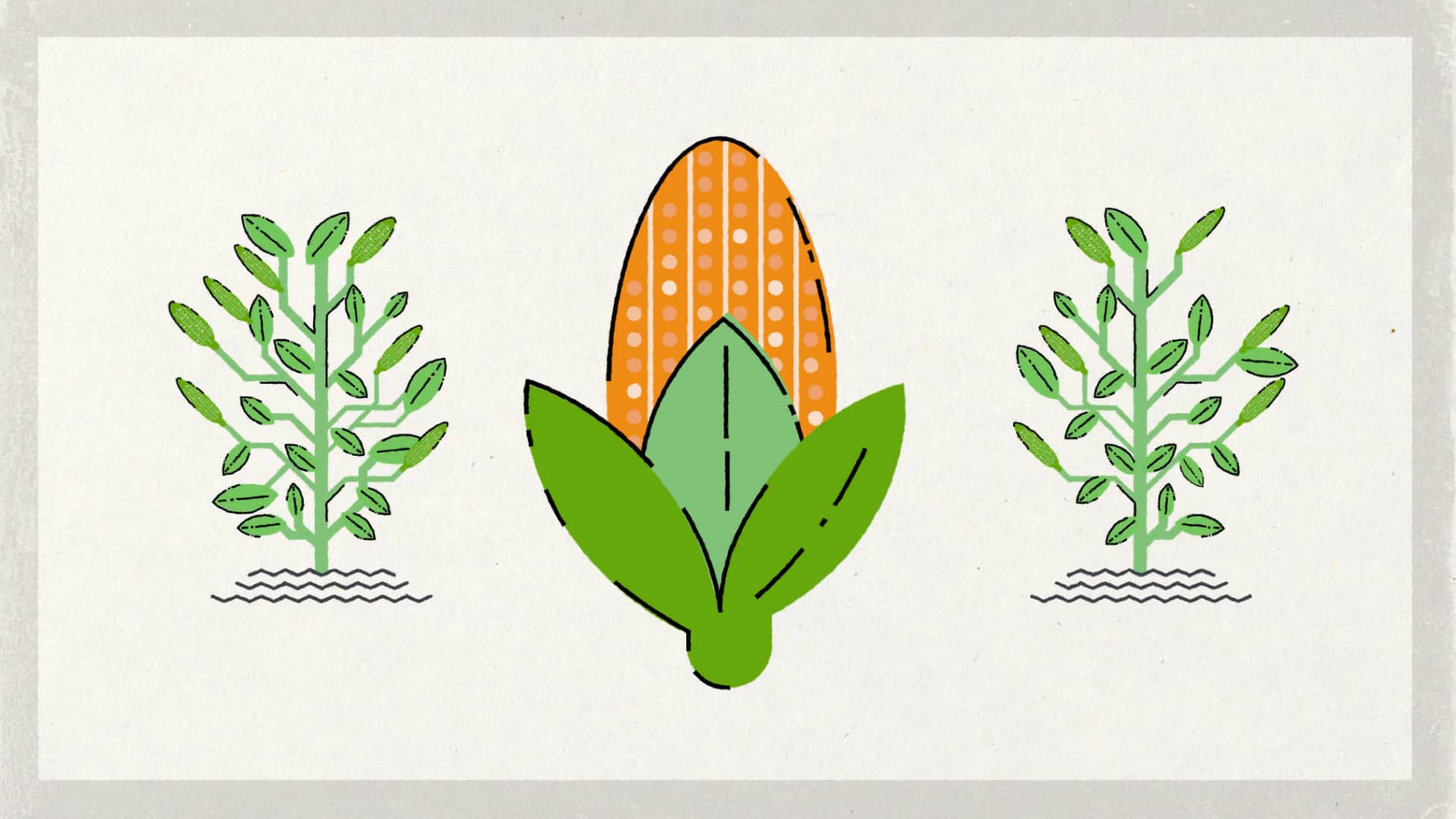 what-is-genetic-modification-on-vimeo