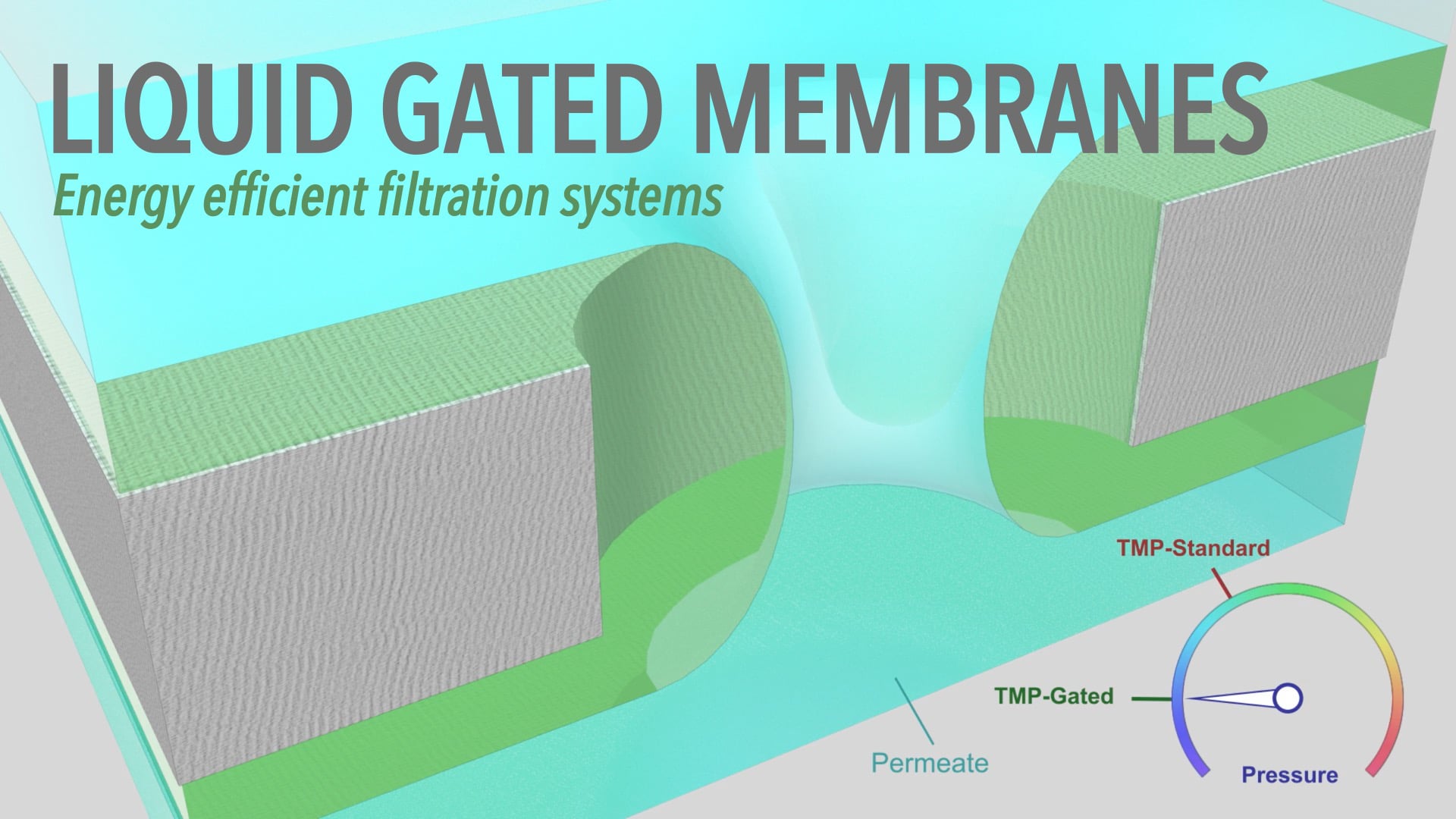 Liquid Gated Membranes