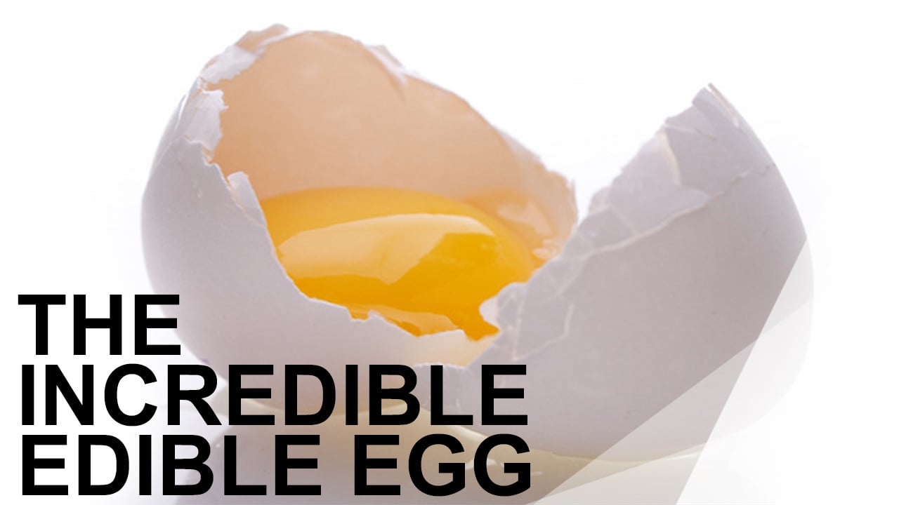 WOW - The Incredible Edible Egg