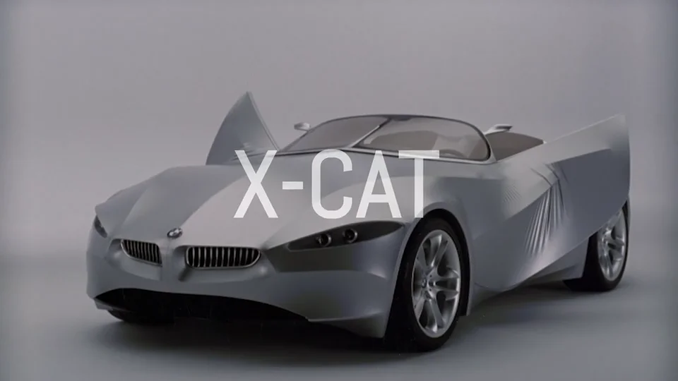 Bmw hot sale x cat