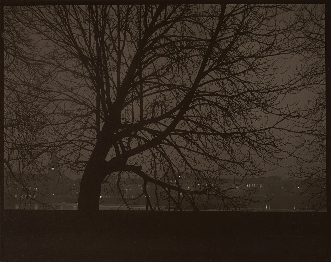 The Intimate World of Josef Sudek - Jeu de Paume