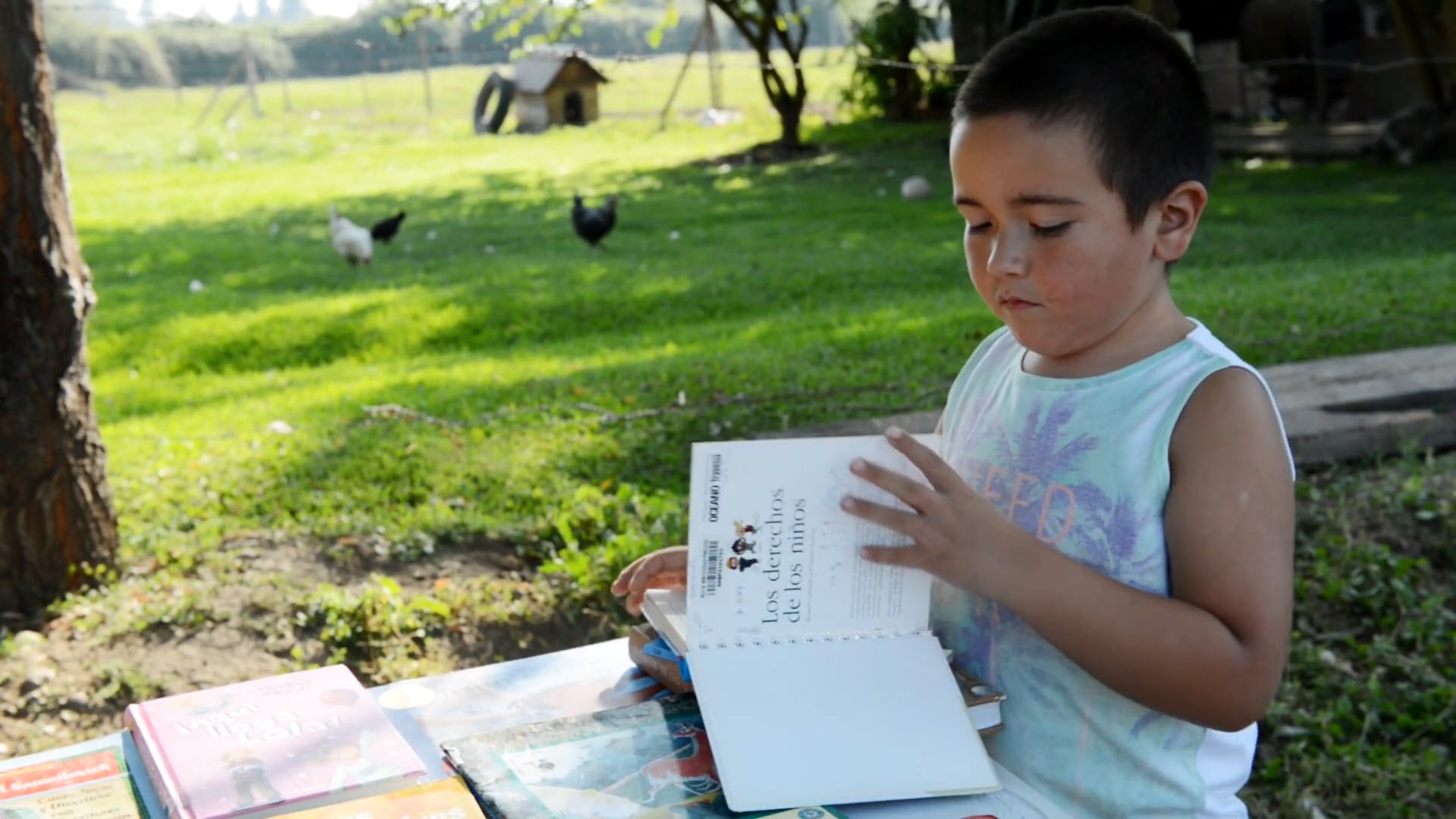 Bibliomóvil de Teno: un proyecto de fomento lector