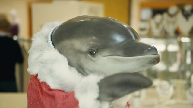 Snapple - Customer Success Story