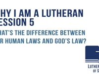 What’s the difference between our human laws and God’s law?