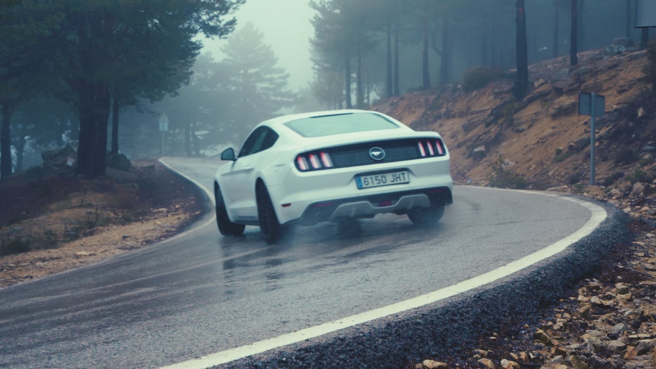 MUSTANG