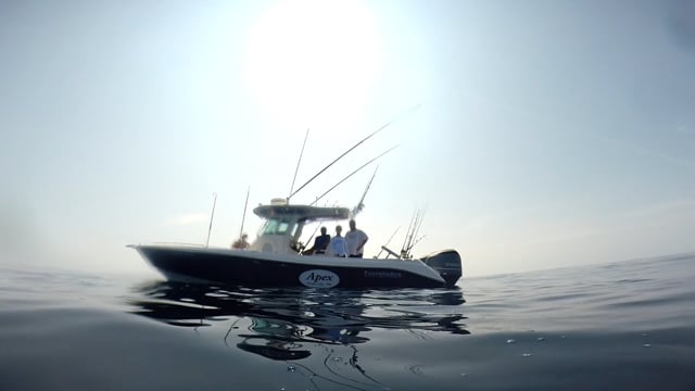 Tuna Fishing in Ocean City, MD