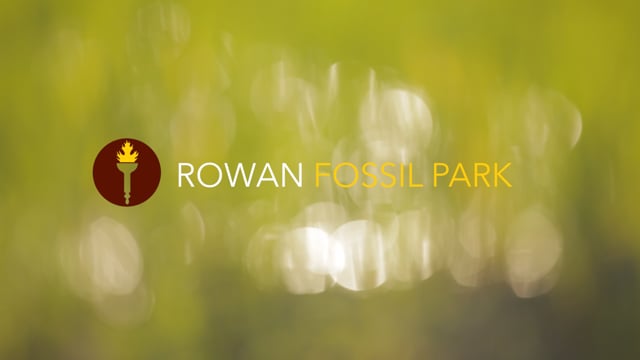 Unearthing the Past  //  Creative Corporate Projects: Rowan University