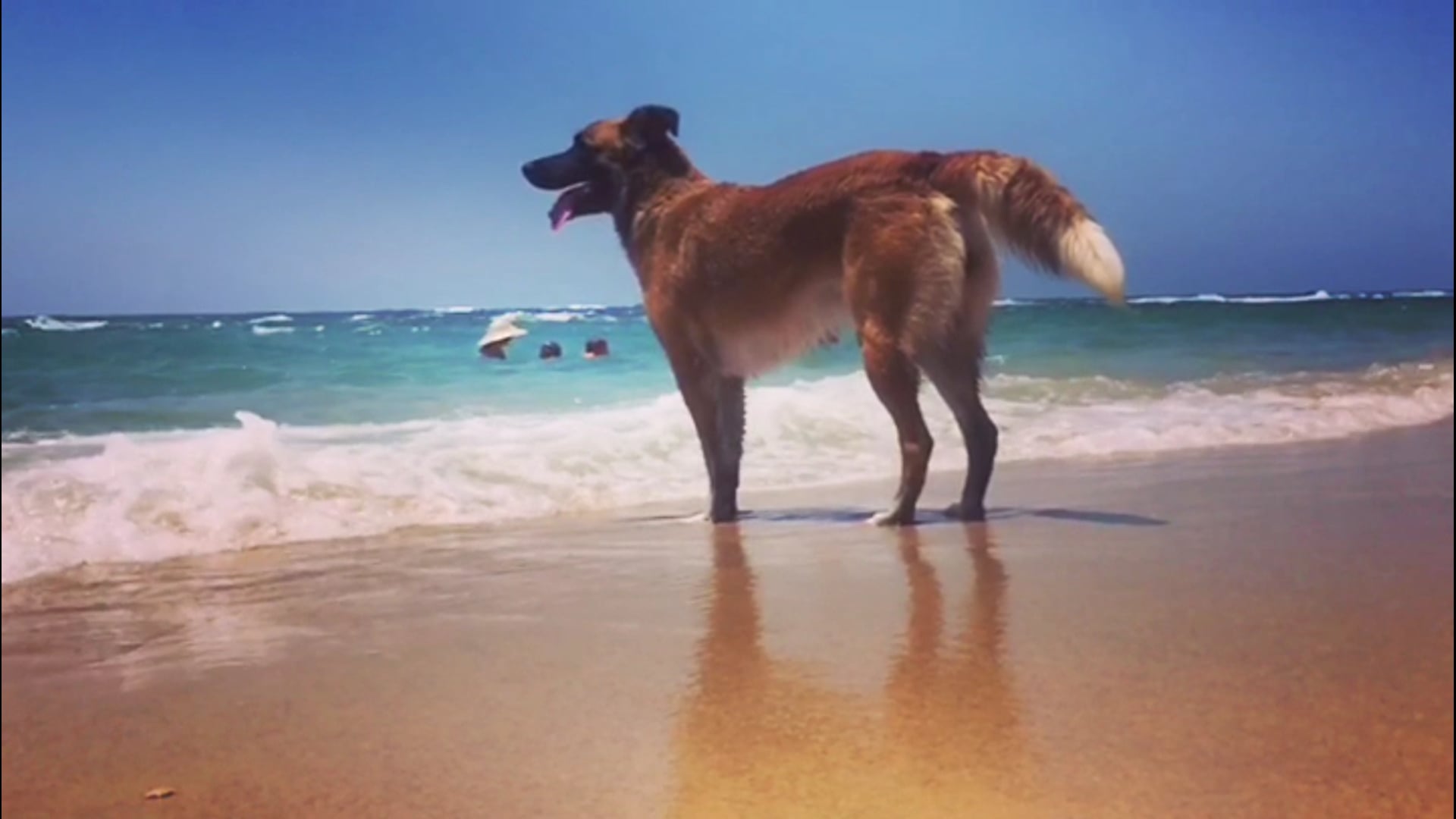 באנו לעשות בלאגן במים!