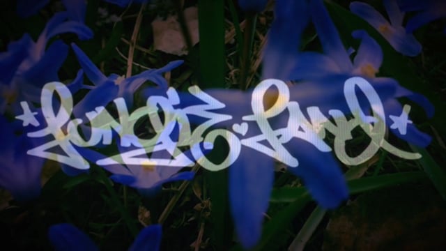 Lungie Land Vol53 from deadlung