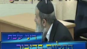 דיני שבת התלוים בשבת תשסח
