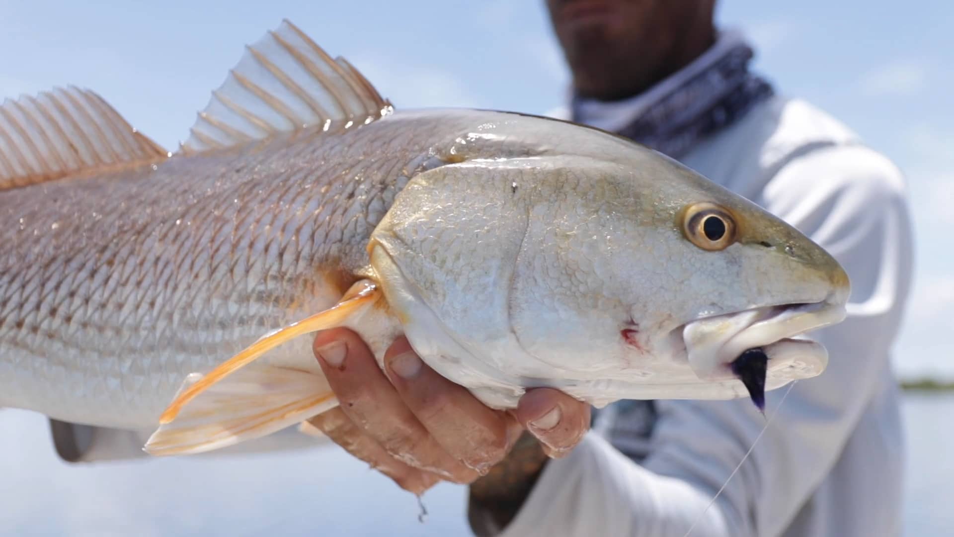 Hunting With Feathers on Vimeo