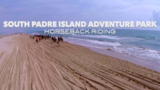 Horseback Riding Test | Island Adventure Park