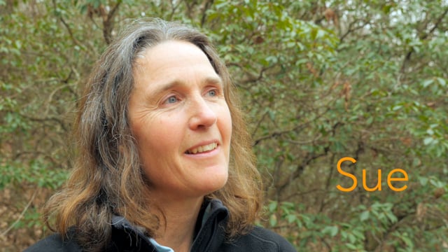 Bike Tour Guide - Sue Lincoln