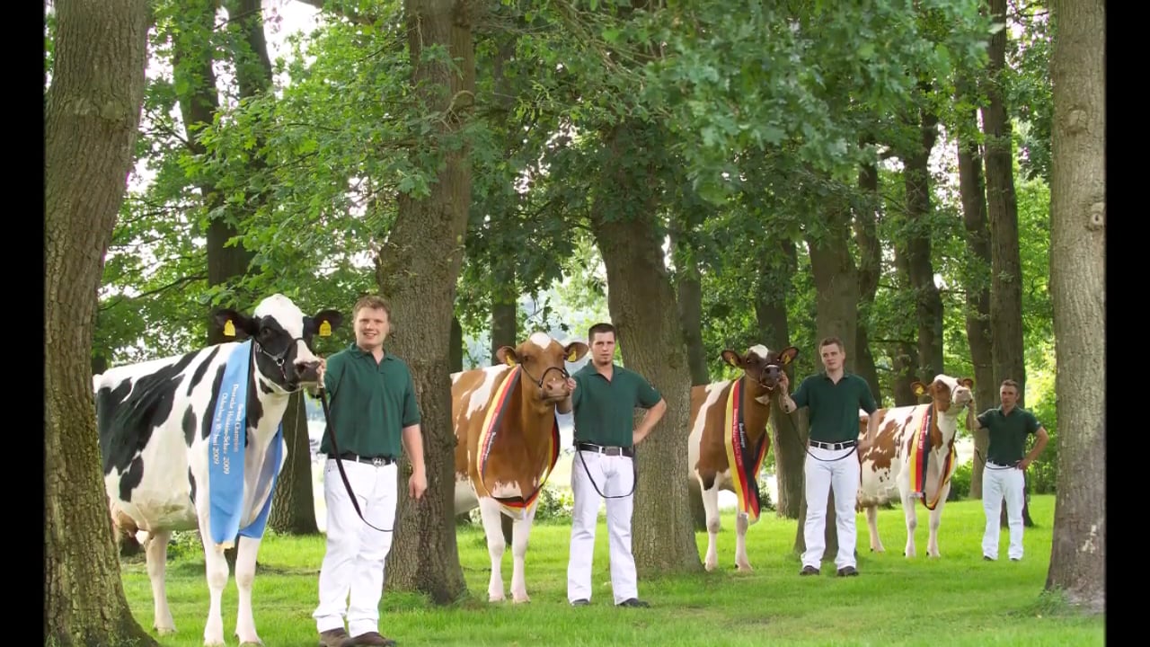 RH Talent Maxima EX-94 on Vimeo