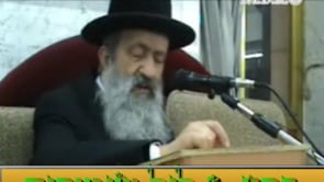 פסח ליל הסדר ליל שימורים