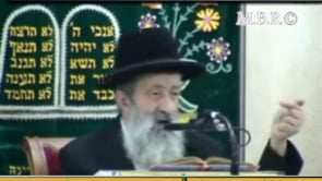 פסח הגדה של פסח תשסו