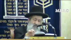 פסח קריאת הגדה של פסח ב תשסה