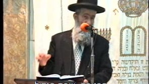 הפטרת שבת הגדול והכנות לפסח תשסב