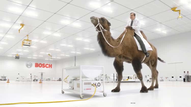 Bosch - Camel & Crane