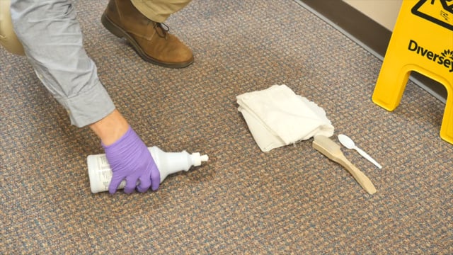 Carpet Spotting Stain Removal | Diversey