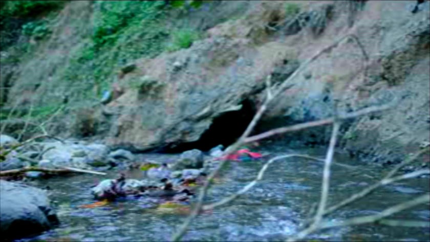vimeo-video-thumbnail