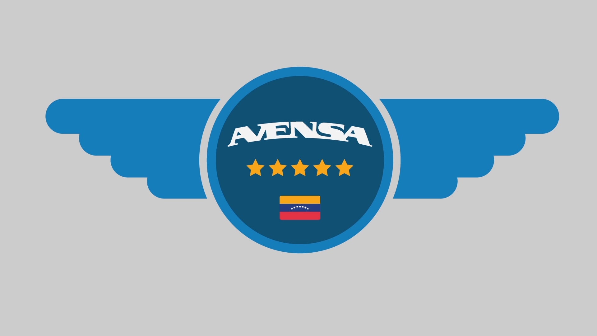 AVENSA-In Flight Safety (VO English)