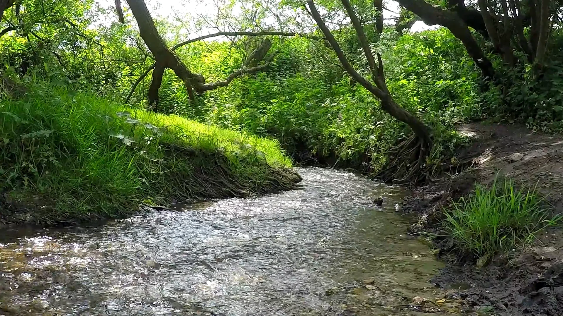 Snipe Dales Country Park & Nature Reserve