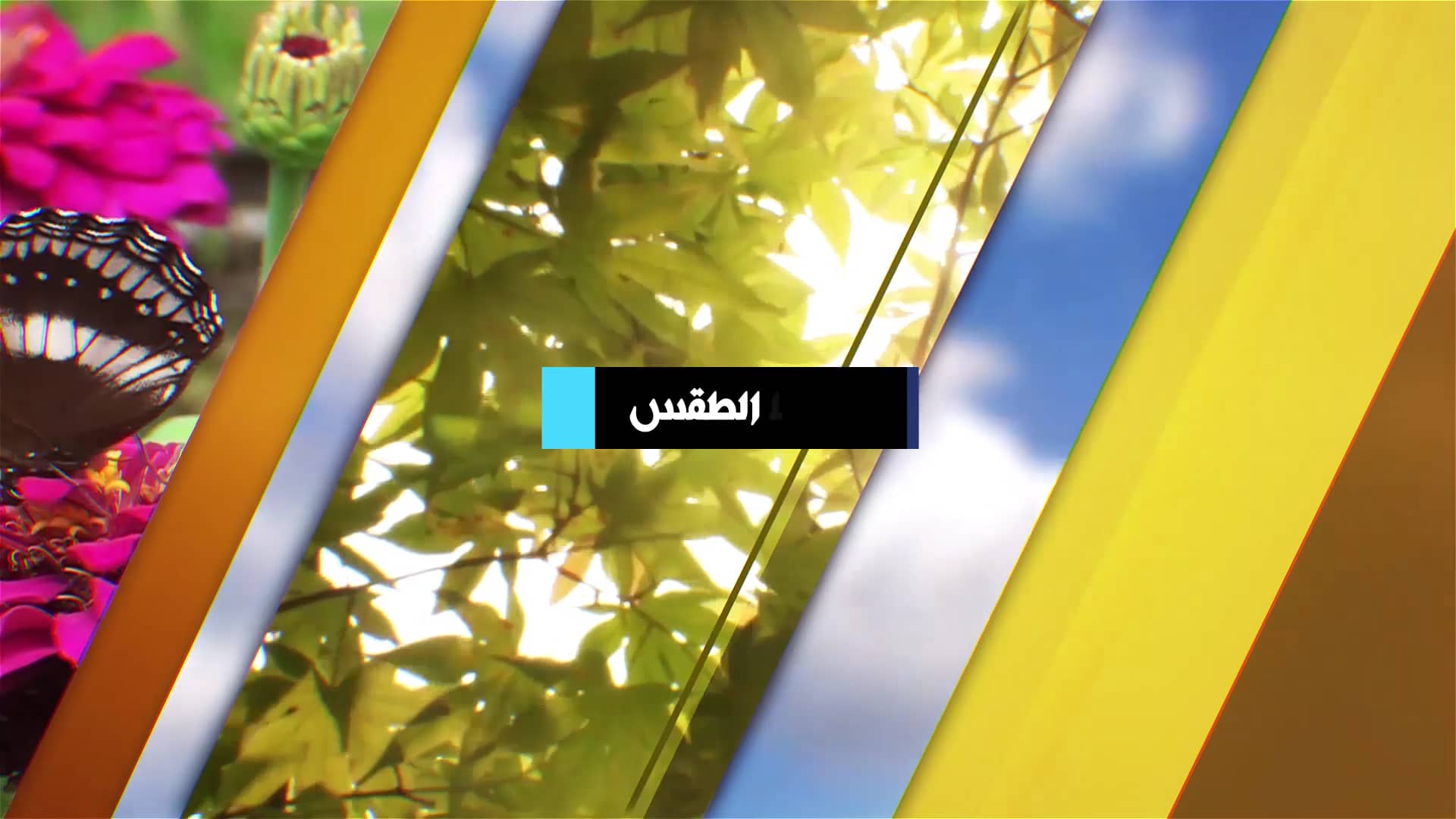 Weather Samarra Tv on Vimeo