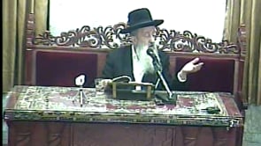 קדושת פירות שביעית התשעה