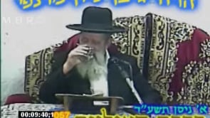 ברכת האילנות צב התשעד