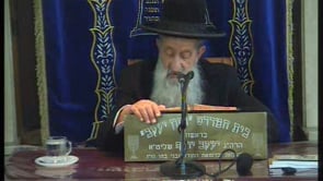 הלכות ליל הסדר התשעב