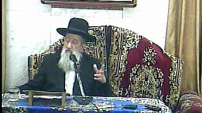 הלכות ליל הסדר התשעב
