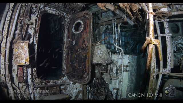 Canon 1Dx Mark II - Underwater High ISO Test - Wreck of MV Tibbetts
