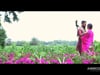 Gurjote + Jaspreet - Same Day Edit | Ambrosial Films