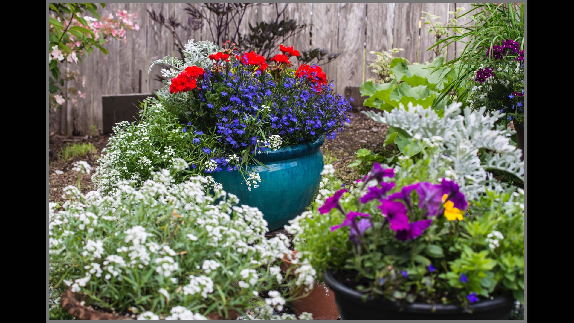 Flowers by Janice 2 on Vimeo