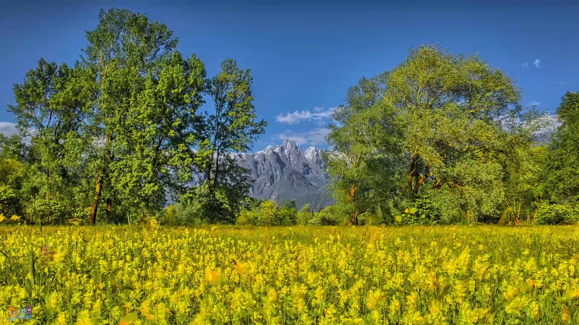 Rainbow Holiday Apartments video promo on Vimeo