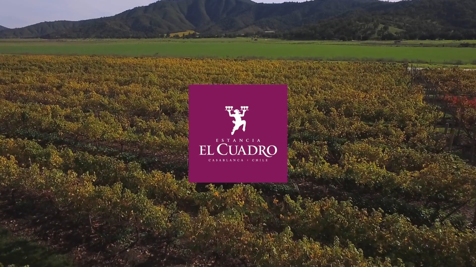 JRF Films - Estancia El Cuadro 2016