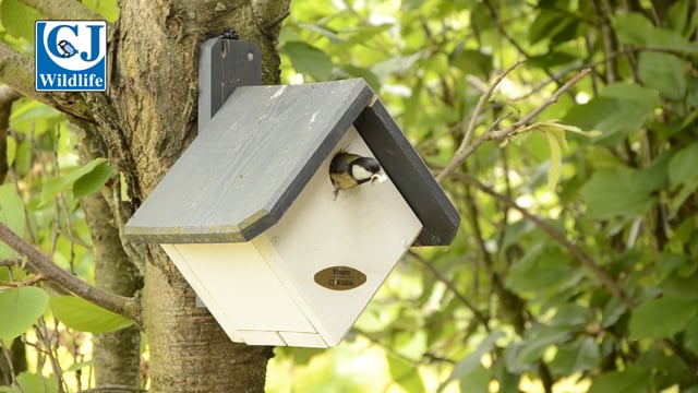 CJ Wildlife Zurich Nest Box