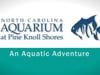 NC Aquariums-PKS_7.12.16-windows