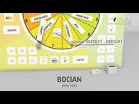25 Bocian