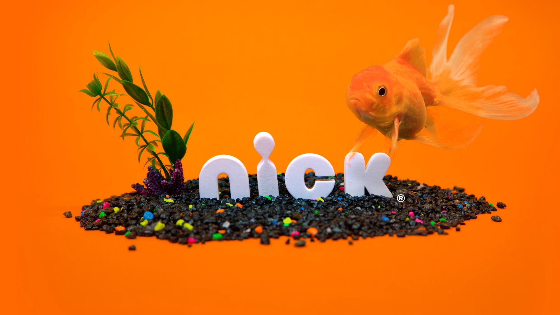Nick Jr Fish Logo Youtube