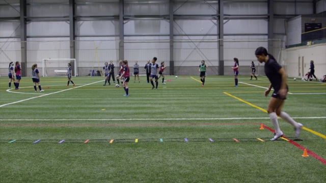 Movement Preparation: Rapid Through